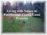 164 Fr 85d, Apsley Ontario